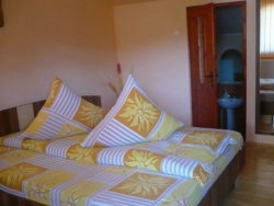 Hotel Pensiunea Daiana Albac - Arieseni-Vartop - poza 3 - travelro