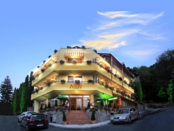 Hotel Pensiunea Noel - Baile Olanesti - poza 1 - travelro