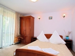 Hotel Pensiunea Alis - Calimanesti-Caciulata - poza 3 - travelro