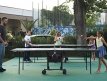 ping-pong