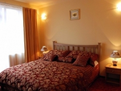 Hotel Pensiunea Phoenix - Oradea - poza 3 - travelro