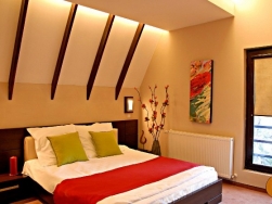 Hotel Pensiunea Casa Teo - Sinaia - poza 3 - travelro