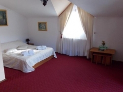 Hotel Pensiunea New Aosta Garden - Sinaia - poza 3 - travelro